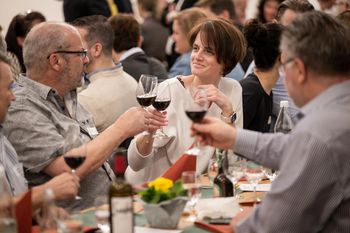 gallery UUID: 6adff201-f167-6322-3362aa0dd51dd9f2